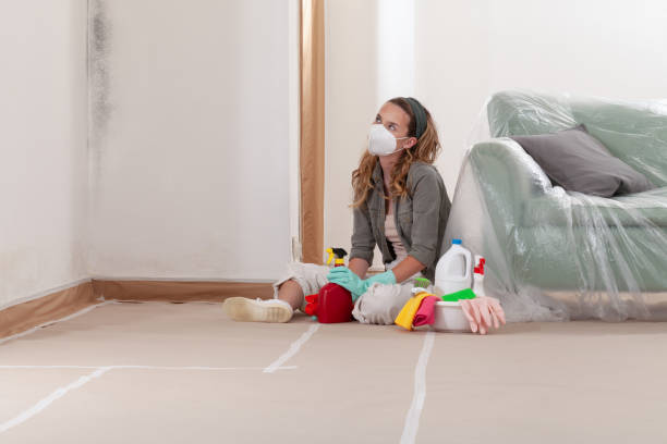 Reliable Black Mold Removal contractor in Moshannon, PA by WQB Mold Removal